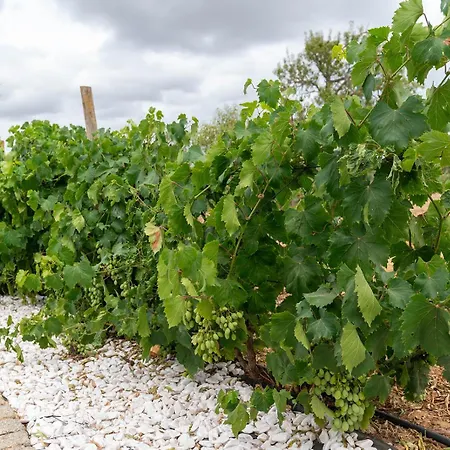 빌라 Quinta Da Amoreira