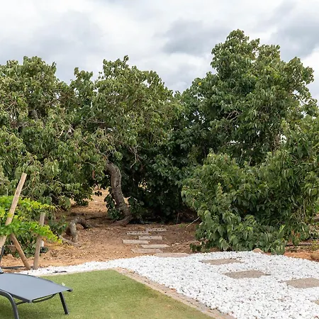 빌라 Quinta Da Amoreira Barão de São Miguel